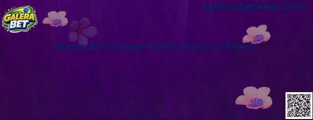 Galera Bet Dragon Hatch tutorial e táticas